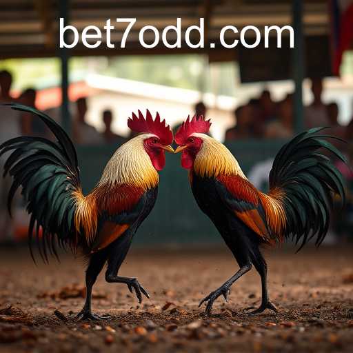 Exploring the Thrilling World of Sabong Games: Key Insights and Bet7 PH Login